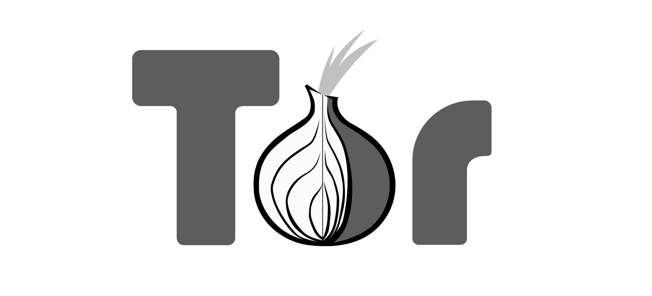 tor logo